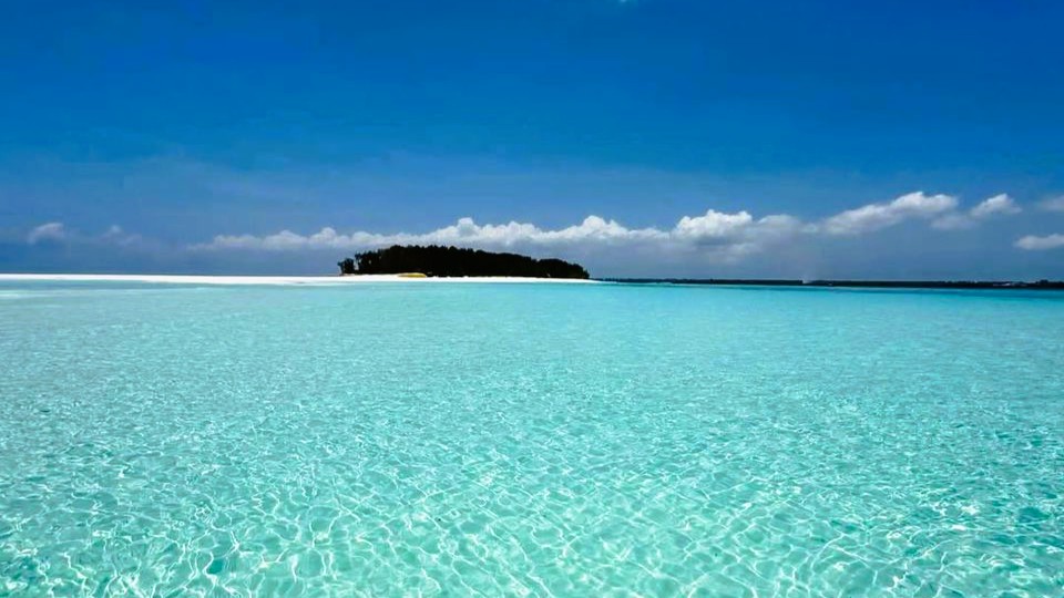 Mnemba Island Tour