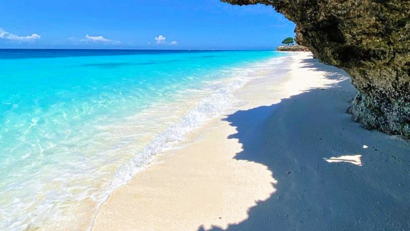 Beach Activities